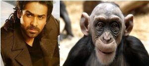 Viral Video: मिल गया बंदरों का इमरान हाशमी