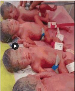 4 baby Birth